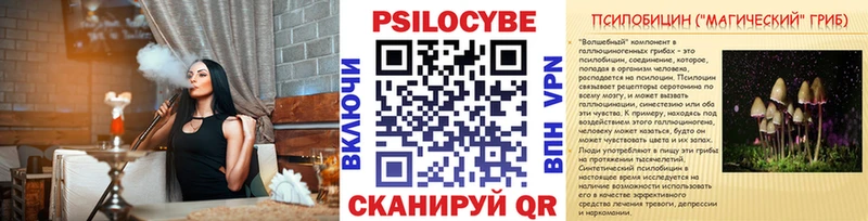 где найти   Славянск-на-Кубани  Галлюциногенные грибы Psilocybine cubensis 