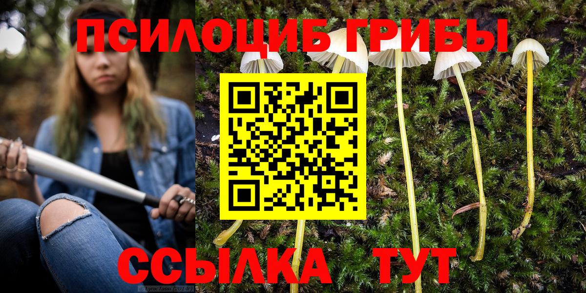 Псилоцибиновые грибы Cubensis Славянск-на-Кубани