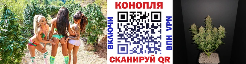 купить закладку  Славянск-на-Кубани  Бошки марихуана AK-47 